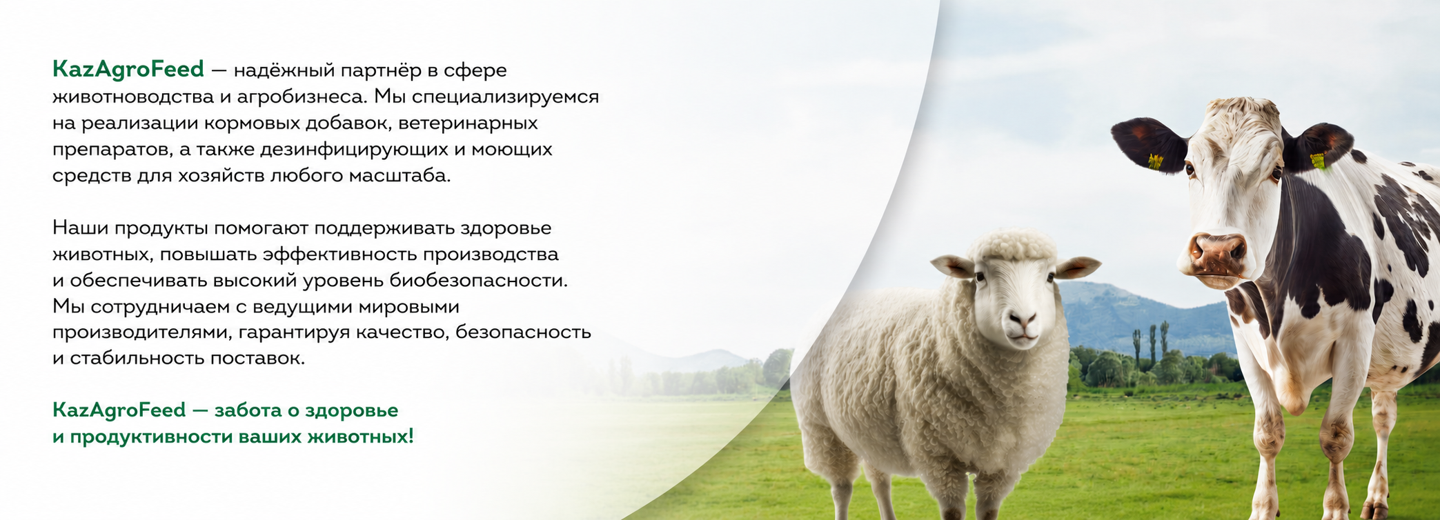 ChatGPT Image 11 июл. 2026 г., 13_43_34