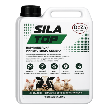 SILA TOP